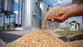 В российский интервенционный фонд закупили более 6 тысяч тонн зерна